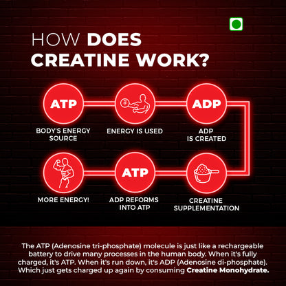 Creatine Monohydrate - 249 Gram (83 Servings)(Unflavored)